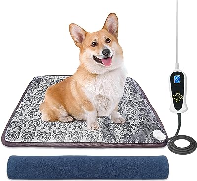 Gadgets for Your&nbsp;Dogs
